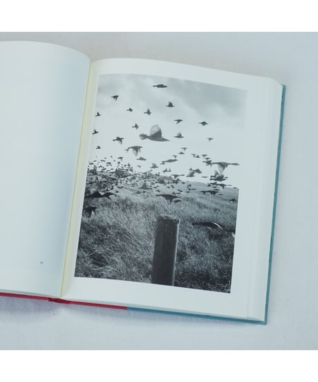 The Pillar｜Stephen Gill