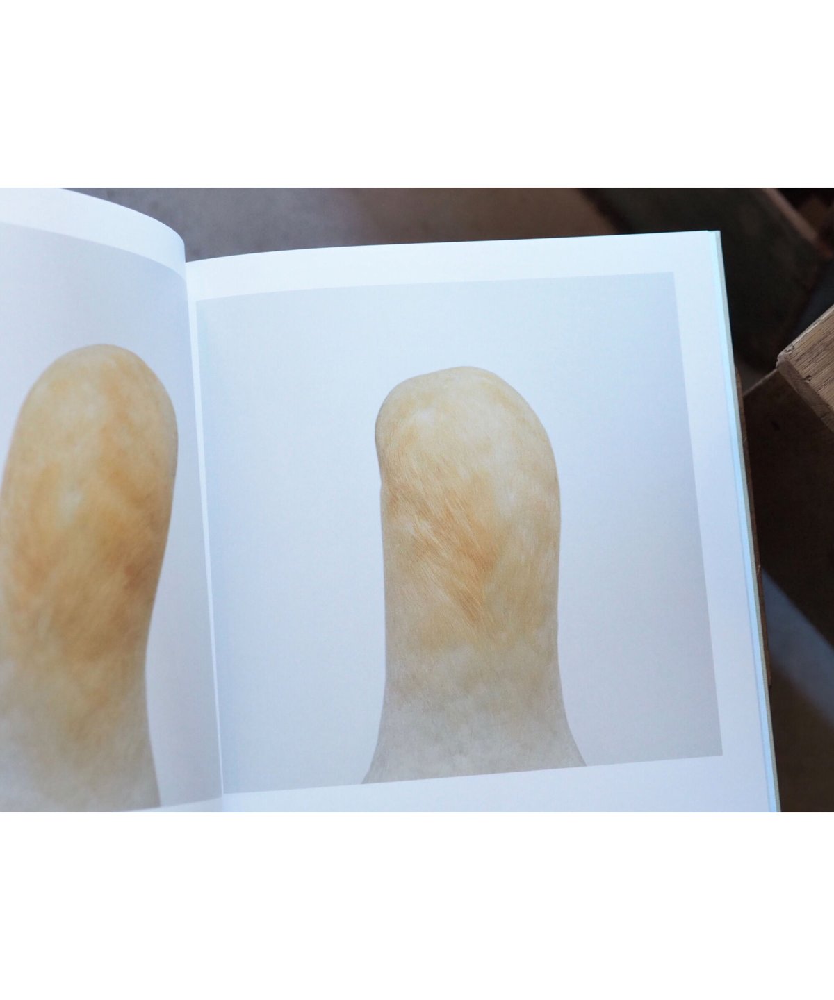 【デッドストック品】roni horn bird BIRD by Roni Horn – twelvebooks