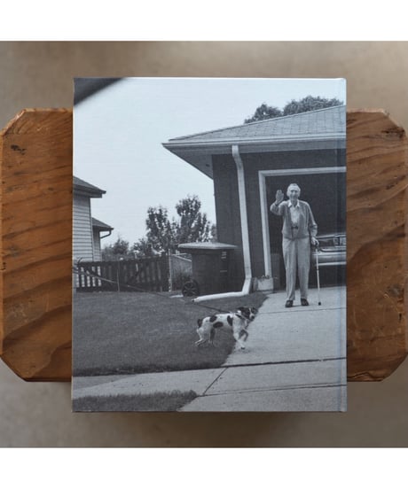 LEAVING AND WAVING / Deanna Dikeman