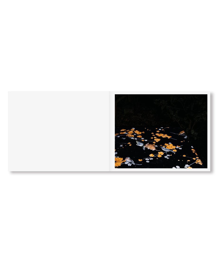 674c1d55b37ea425138ac1f2