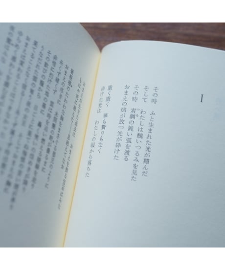 狼の泉｜トリスタン・ツァラ 宮原庸太郎/訳