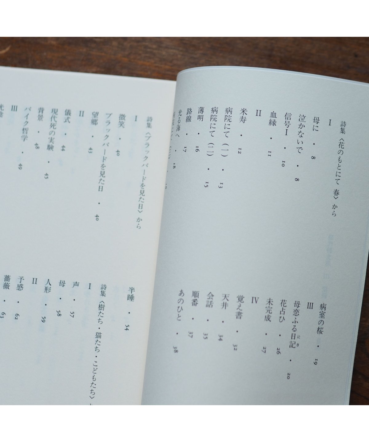 続続・吉原幸子詩集 ｜現代詩文庫 | button