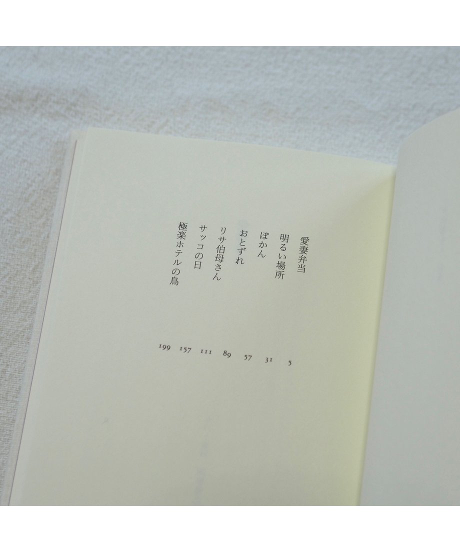 63f9c549d19123798772e601