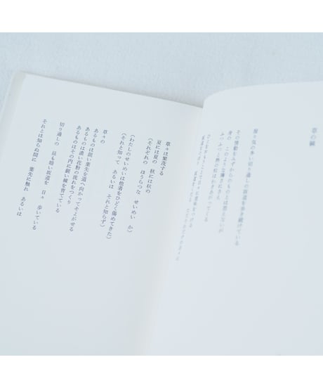 花の残り｜岬多可子