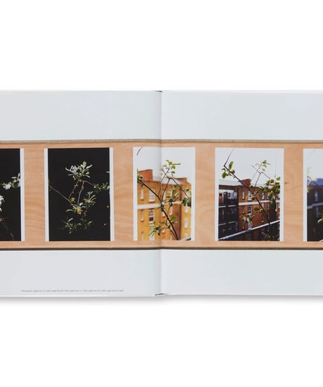 WHAT'S WRONG WITH REDISTRIBUTION?｜Wolfgang Tillmans