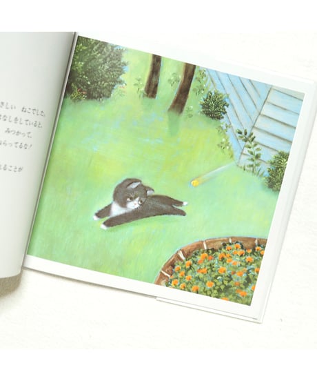 ことりとねこのものがたり｜なかえ よしを/作 上野 紀子/絵