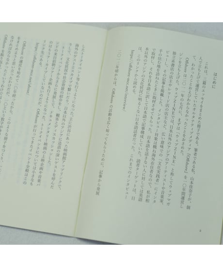 個人メディアを十年やってわかったこととわからなかったこと――オルタナティブ・ネット・音楽シーン | 山本佳奈子