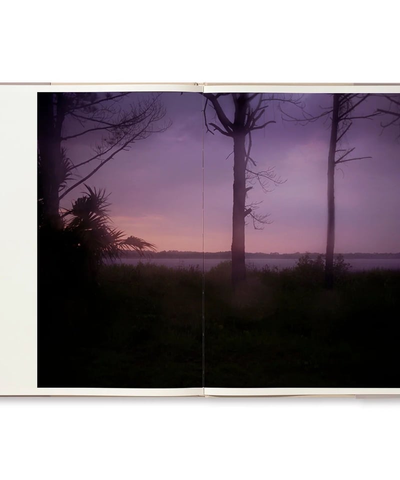 OUTSKIRTS｜Todd Hido | button