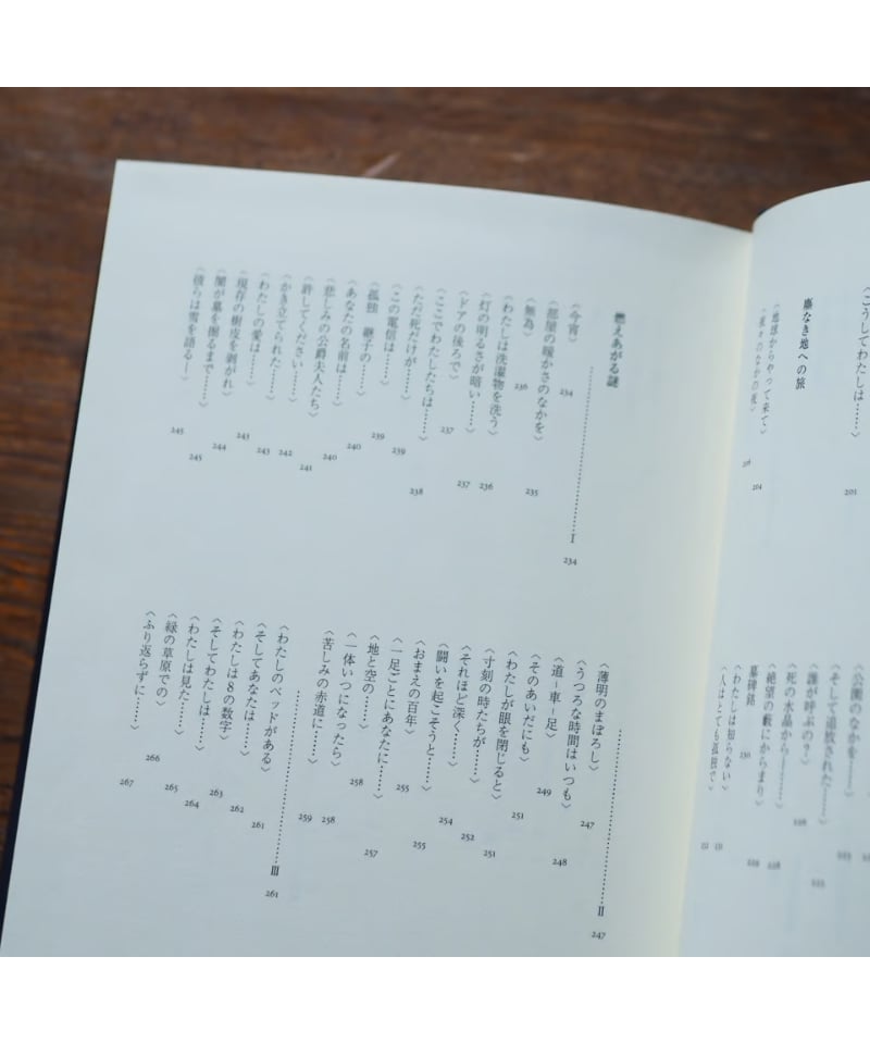 ネリー・ザックス詩集｜ネリー・ザックス 綱島寿秀/訳 | button