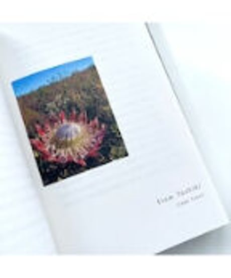 書簡集 それでも変わらないもの