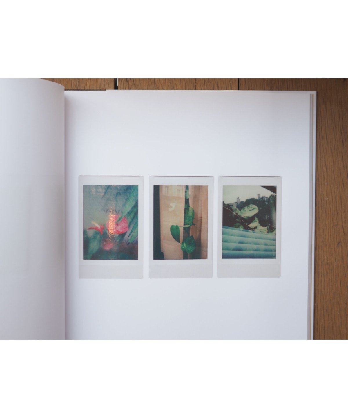 写真集 POLAROIDS by Romain Laprade POLAROIDS | Romain Laprade | button