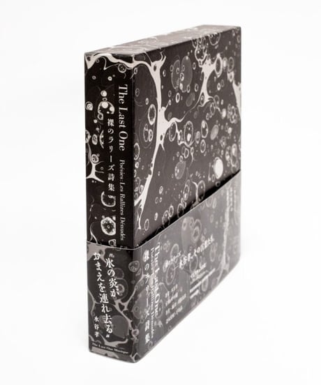The Last One〈Poésies : Les Rallizes Dénudés〉裸のラリーズ詩集