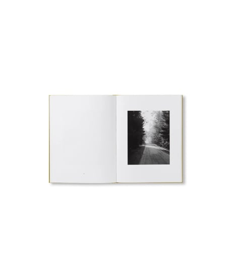 NATUR｜Michael Schmidt