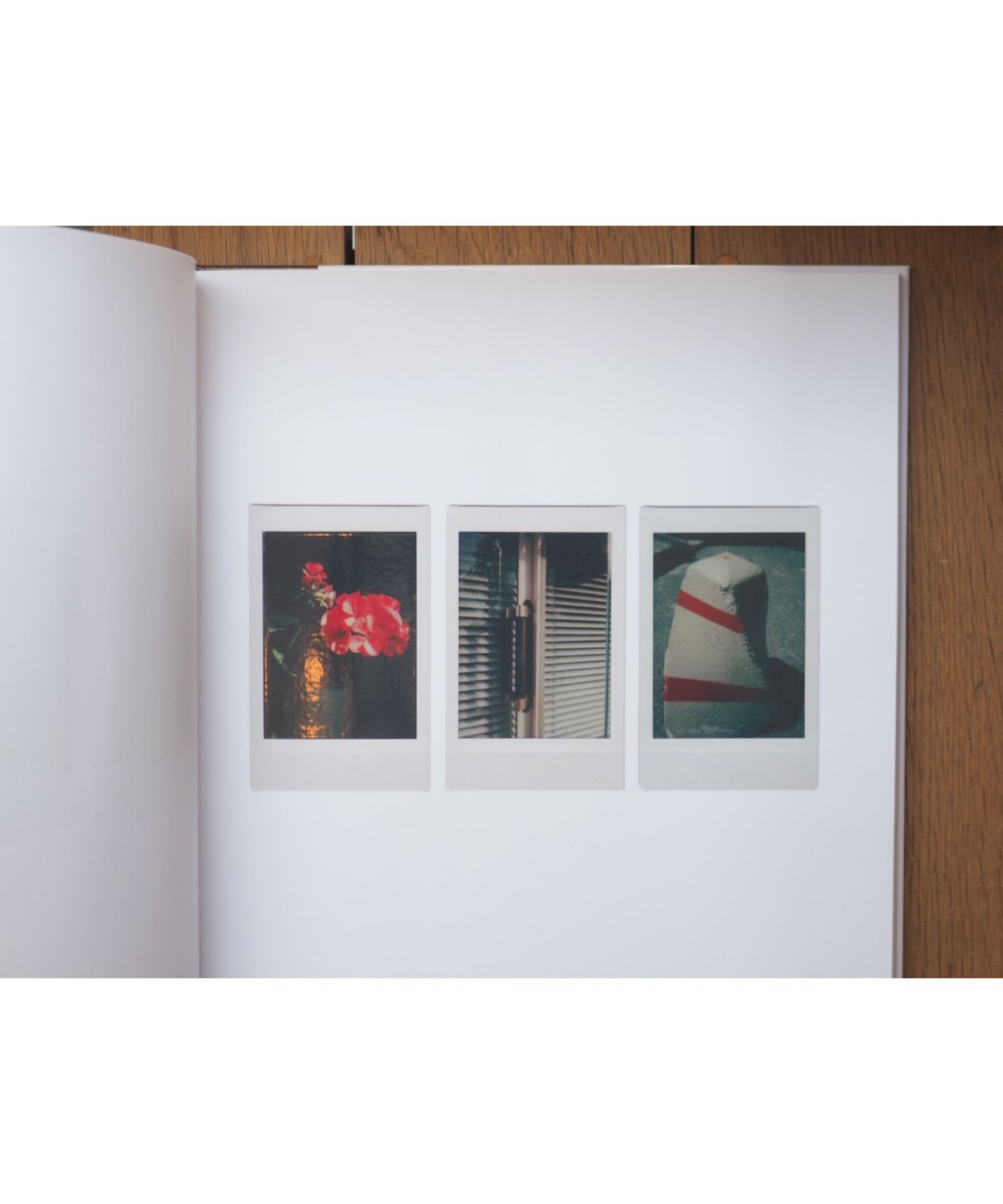 POLAROIDS | Romain Laprade | button