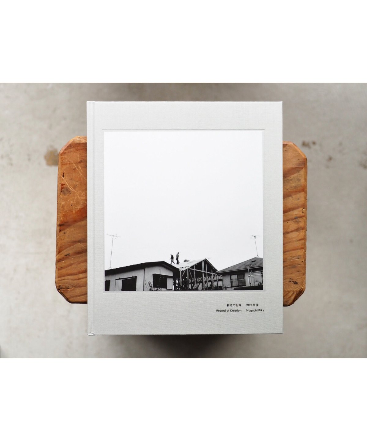 創造の記録　野口里佳 野口里佳: 創造の記録 - BOOK OF DAYS ONLINE SHOP
