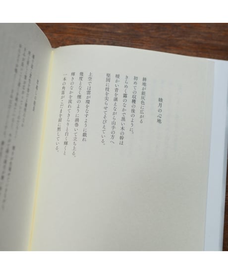 ハインレ詩文集｜クリストフ・フリードリヒ・ハインレ 柿木伸之/訳 ジョルジョ・アガンベン/序文