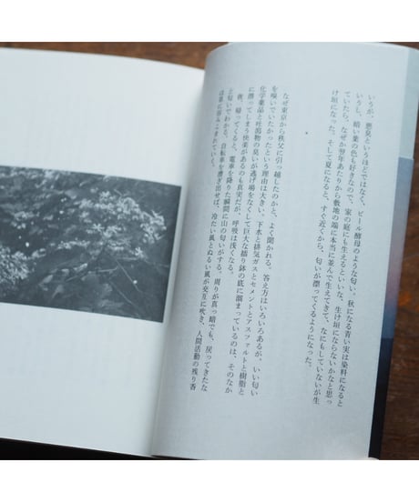 山影の町から｜笠間直穂子
