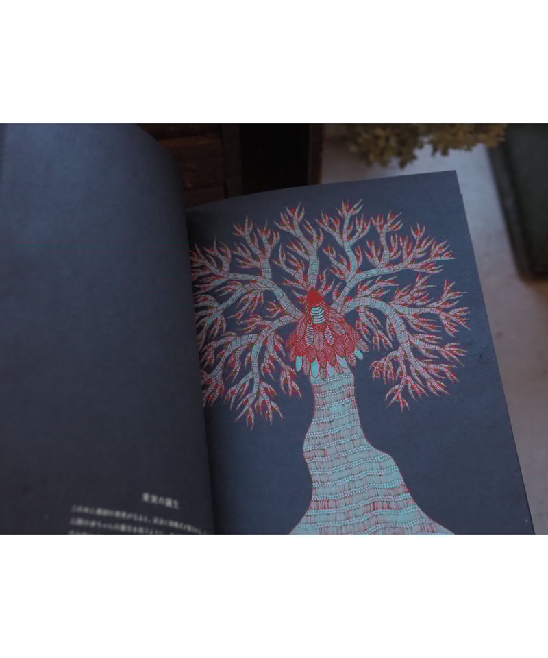 ジャガーウーマン〜蝶の木の教え ジャガー・ウーマン: 蝶の木の教え | リン アンドルーズ, 瑞穂