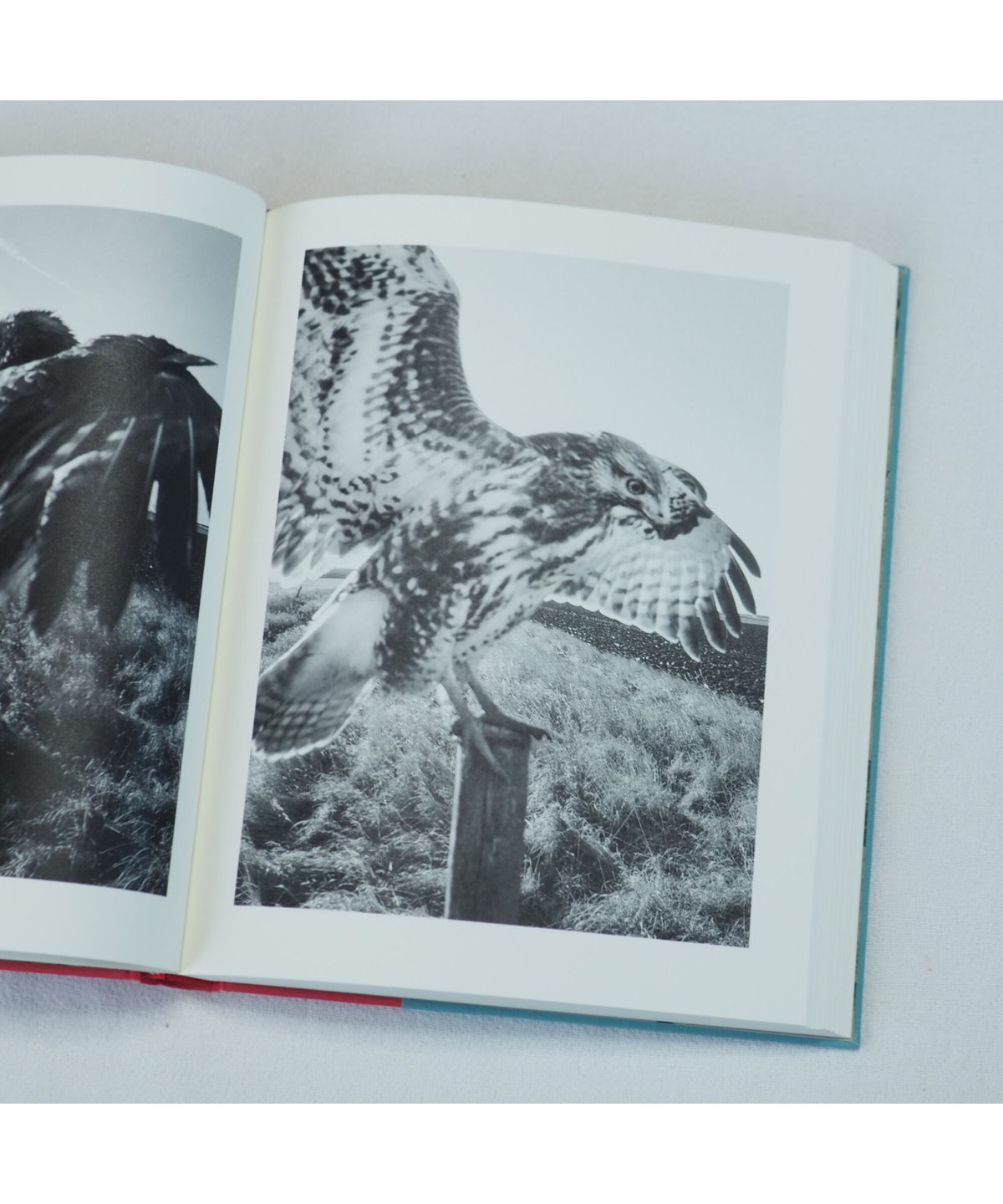 サイン入り❗️新品【Night Procession】Stephen Gill Books - PhotoBookArts