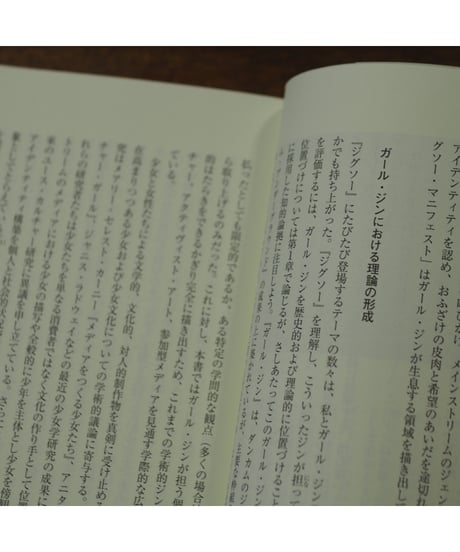 ガール・ジン 「フェミニズムする」少女たちの参加型メディア｜アリスン・ピープマイヤー 野中モモ/訳