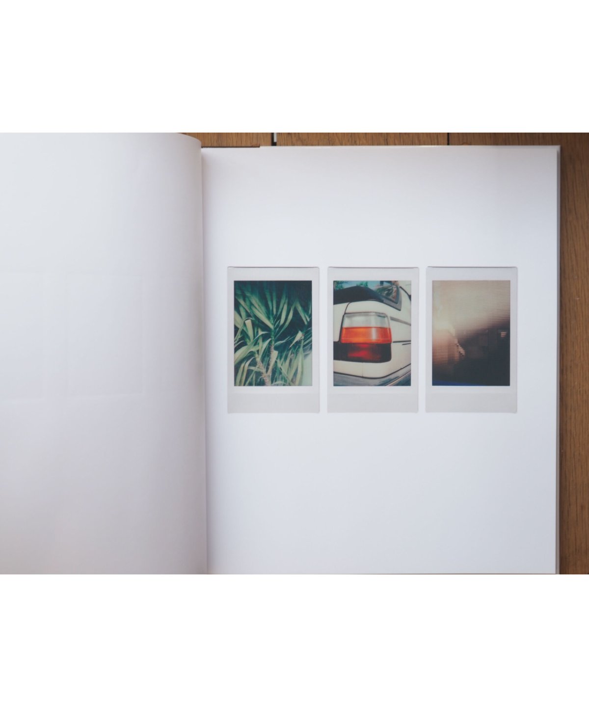 POLAROIDS | Romain Laprade | button