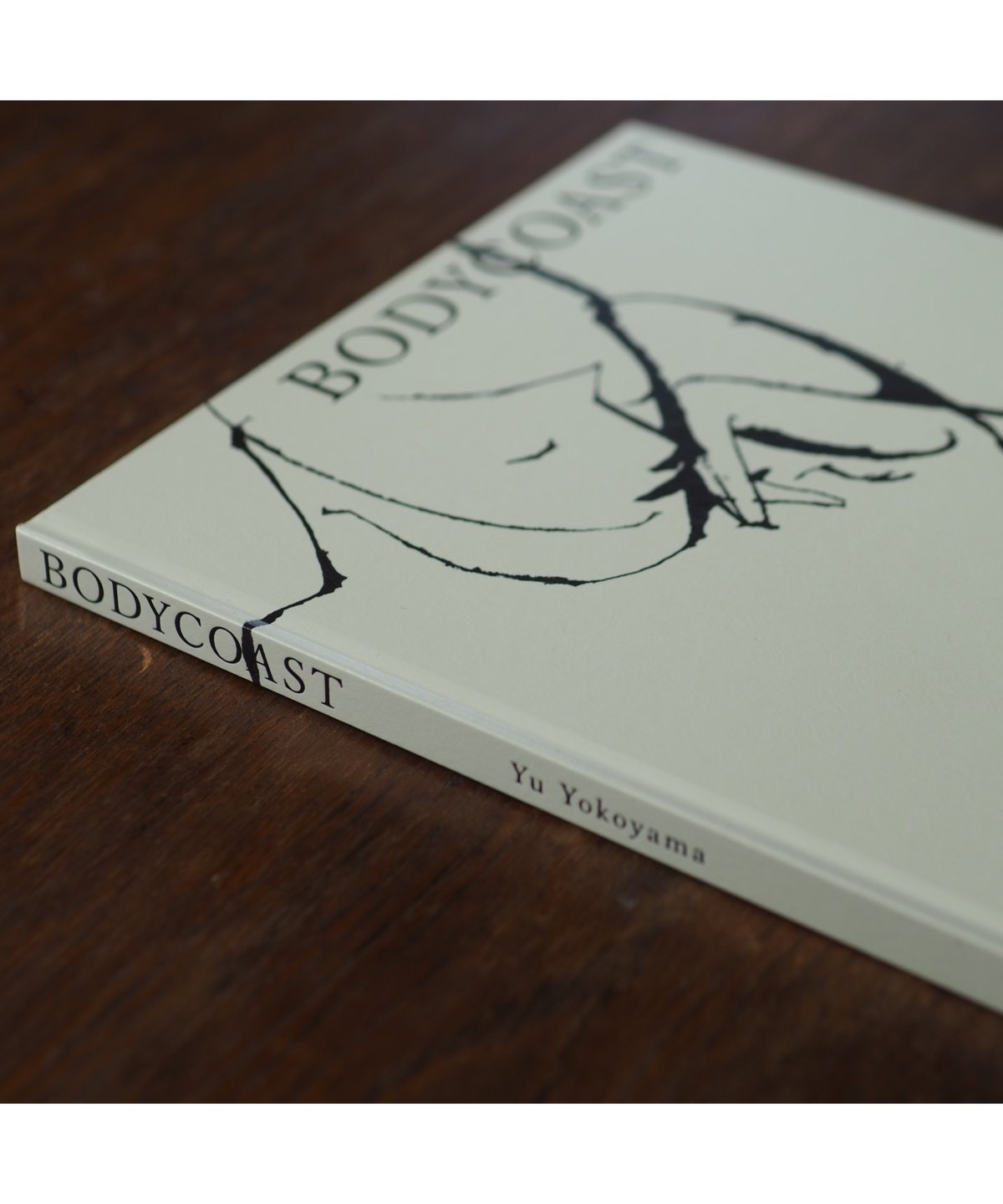 Jeffrey Jones Sketchbook　直筆サイン入り　限定1200部 Jeffrey Jones Sketchbook 直筆サイン入り 限定1200部 - メルカリ