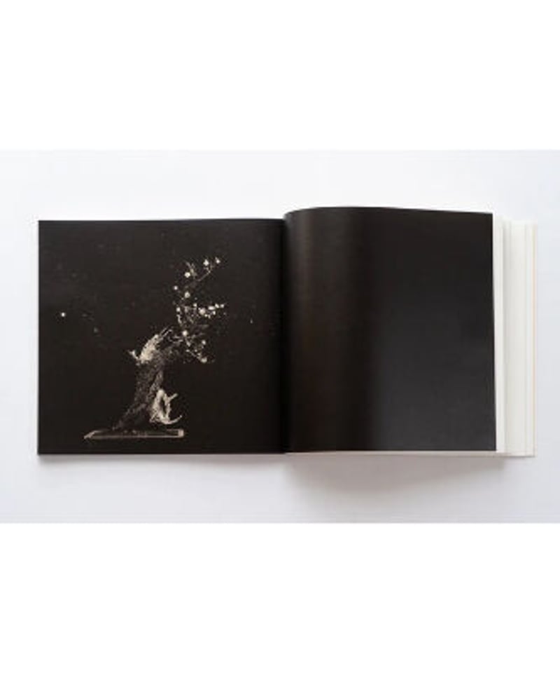 山本昌男　「手中一滴」 山本昌男「BONSAI 手中一滴」展へ、耽美の極みを味わいに