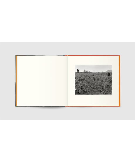 A Long Interview with Kozo Miyoshi ｜Kozo Miyoshi 三好耕三