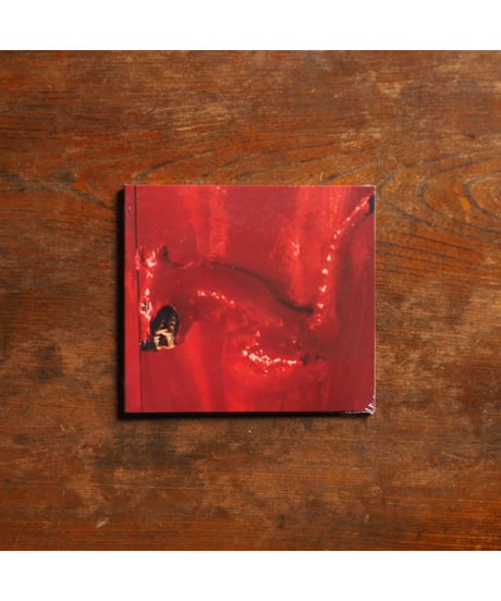 【CD】A Red Score In Tile｜William Basinski