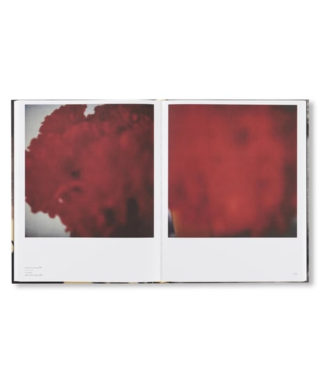 LE TEMPS RETROUVÉ CY TWOMBLY PHOTOGRAPHE ET ARTISTES INVITÉS｜Cy Twombly