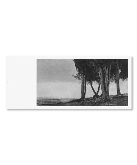 UNNAMED ROAD｜Jungjin Lee
