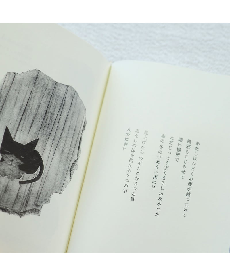 智絵さんページ Nornis町田ちま1st mini Album『The Pages』ジャケット・CD