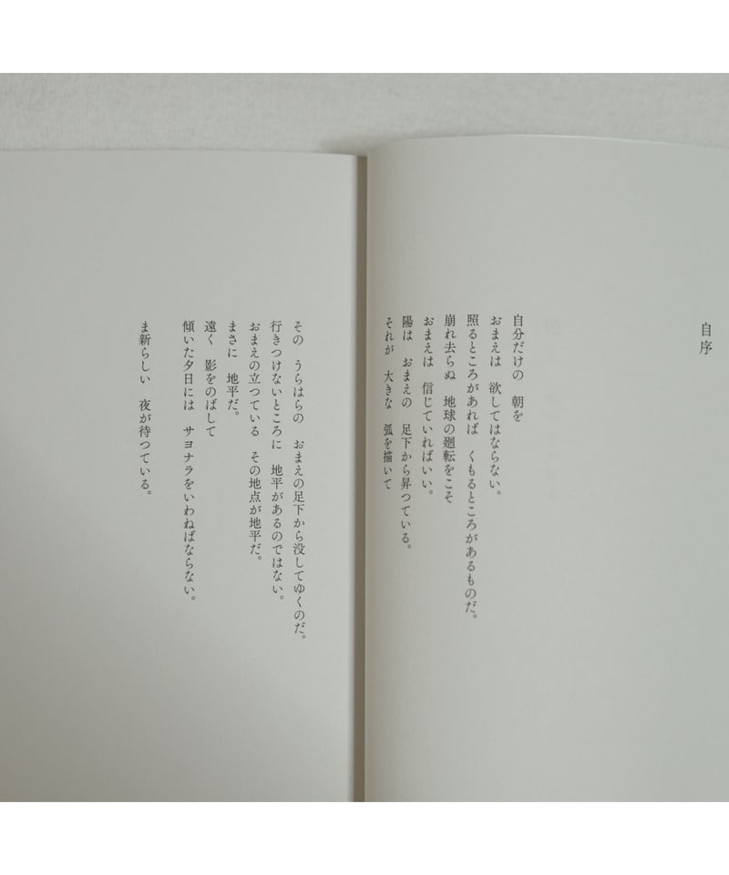 原野の詩：1955～1988 集成詩集 （金時鐘）