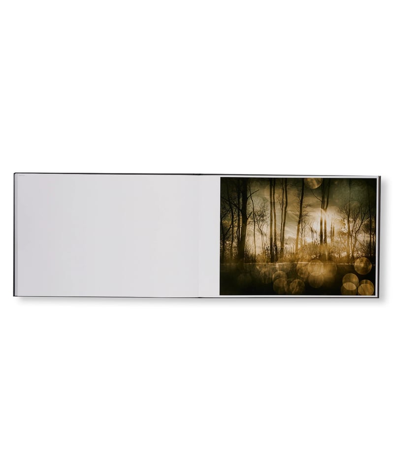 THE END SENDS ADVANCE WARNING｜Todd Hido | button