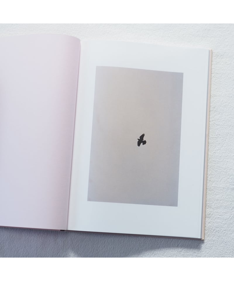 THE CLOUD, THE BIRD AND THE PUDDLE|Ola Rindal | THE CLOUD, THE BIRD AND THE PUDDLE|Ola Rindal |