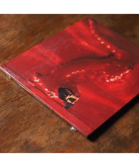 【CD】A Red Score In Tile｜William Basinski