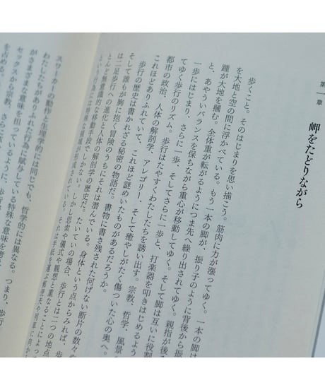 ウォークス 歩くことの精神史｜レベッカ・ソルニット 東辻賢治郎/訳