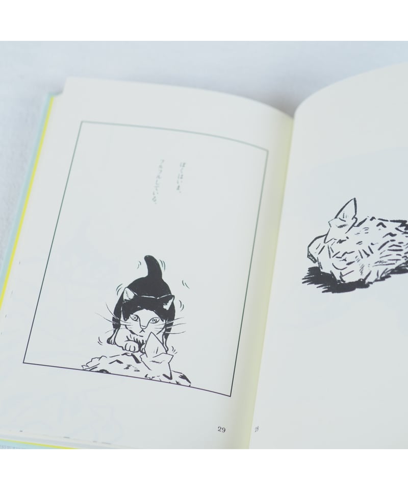 イラストサイン入】ちゃっくん ｜水沢そら | button