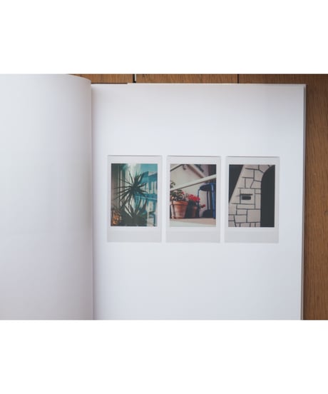 POLAROIDS | Romain Laprade