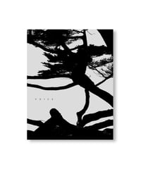 VOICE｜Jungjin Lee