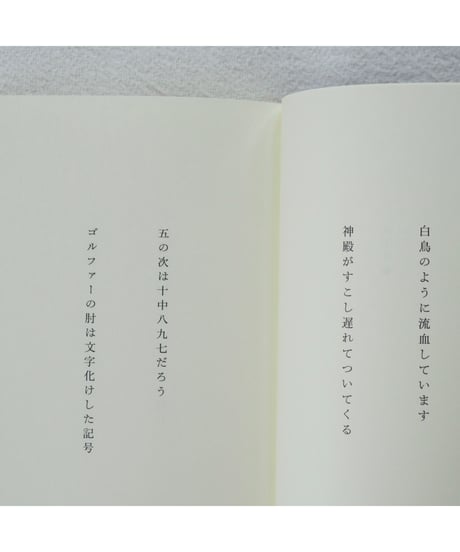 【サイン本】Ladies and | 平岡直子