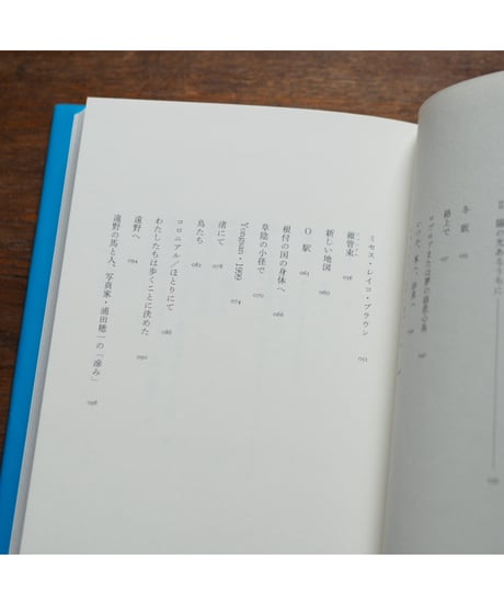 百の太陽／百の鏡 写真と記憶の汀｜新井卓