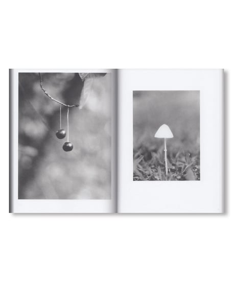 NATURAL SOURCES｜Jochen Lempert