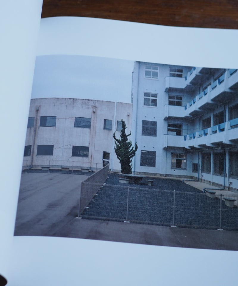 津波の木｜畠山直哉 | button