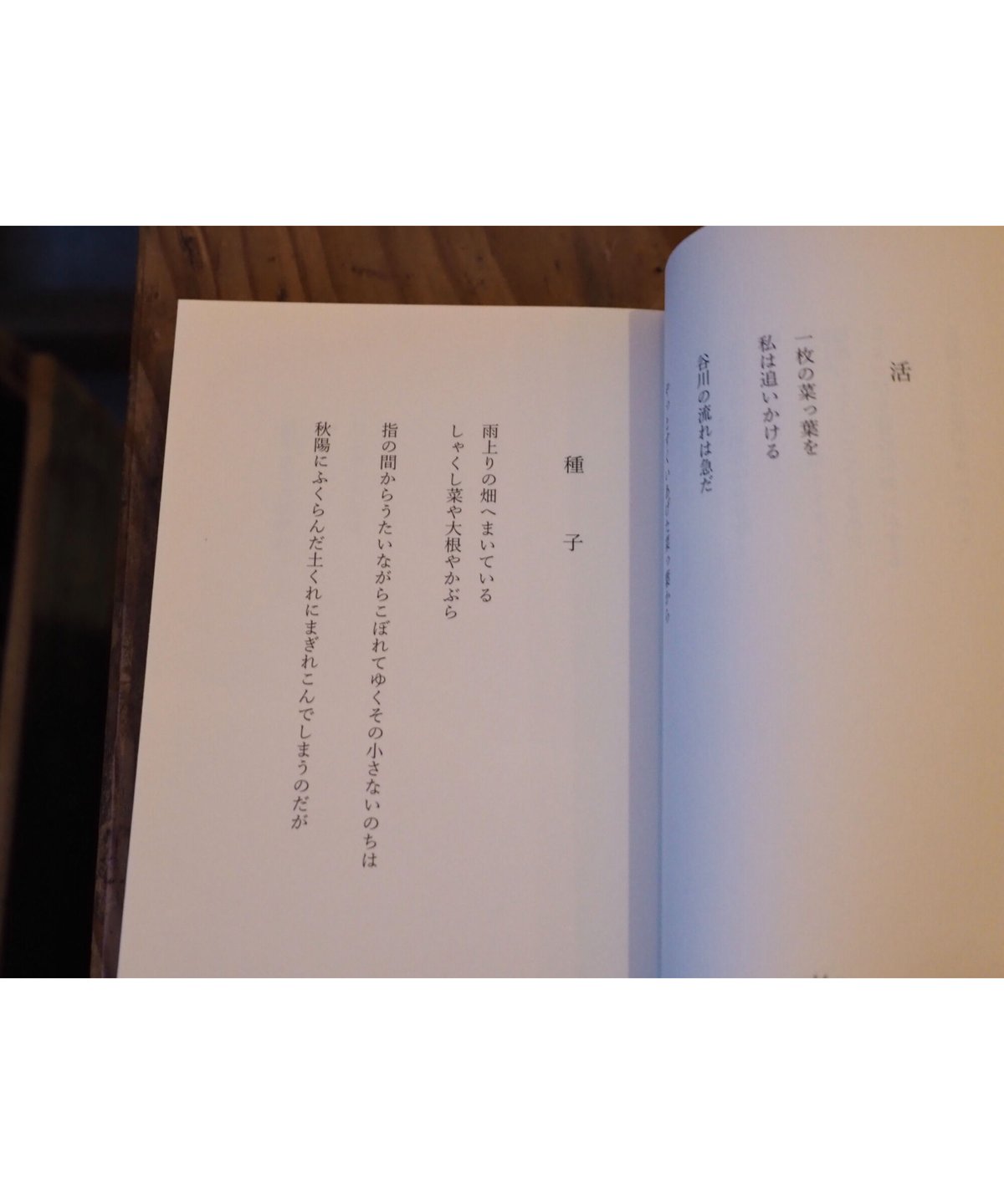 多喜さん詩集 | 井上多喜三郎 外村彰編 | button