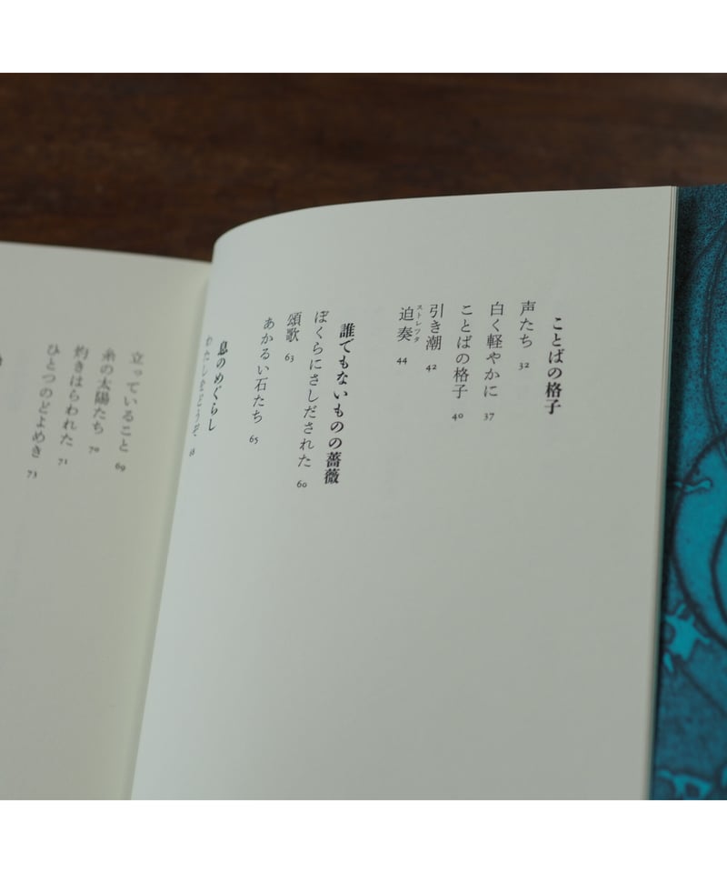 パウル・ツェラン詩集 【公式通販】