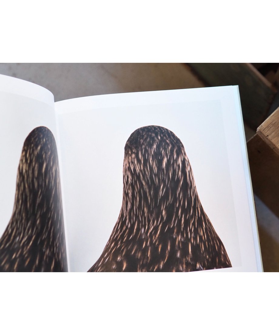 6200d8b20020fc7c7a3e4cc2