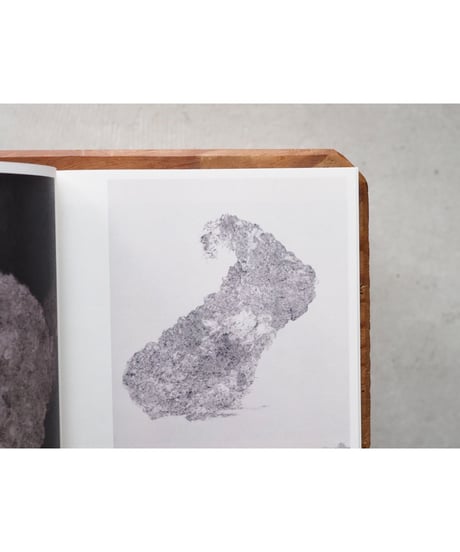 Mount Analoge / 柴田高志