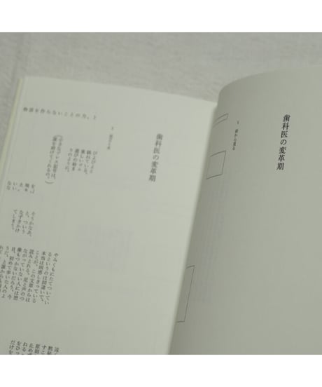発光性diapositive｜関口涼子