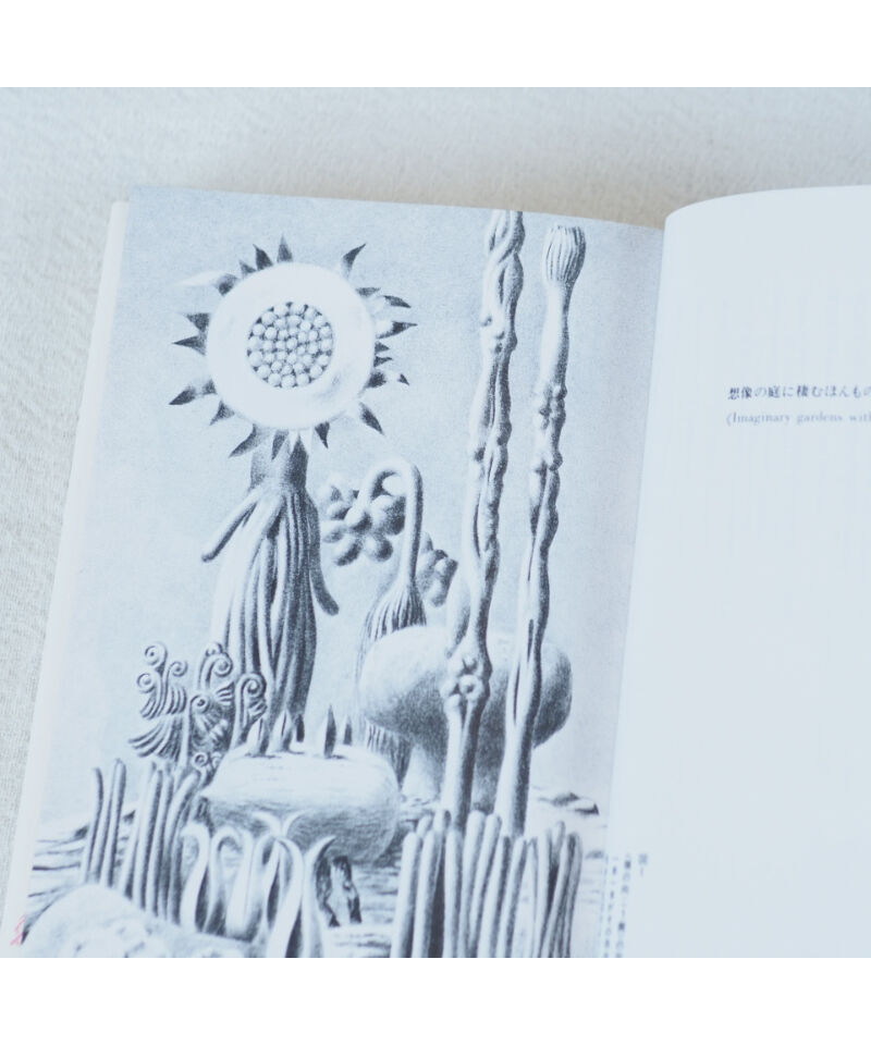 平行植物 レオ・レオーニ　【希少】元版セット　工作舎 平行植物 工作舎 レオ レオーニ - メルカリ